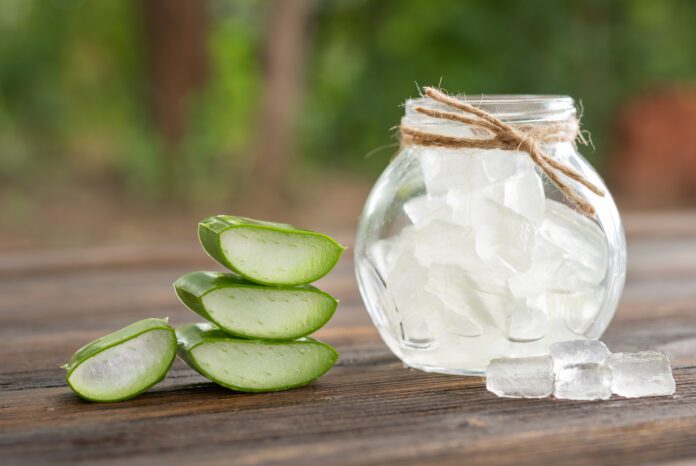 Aloe Vera Skin Care