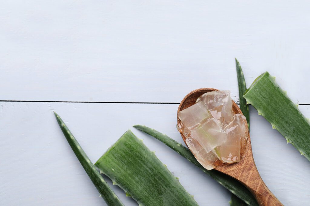 Aloe Vera Skin Care Aloe Vera Skin Care