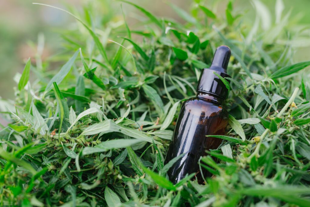 Tea Tree Oil for Lightening Skin Tea Tree Oil for Lightening Skin
